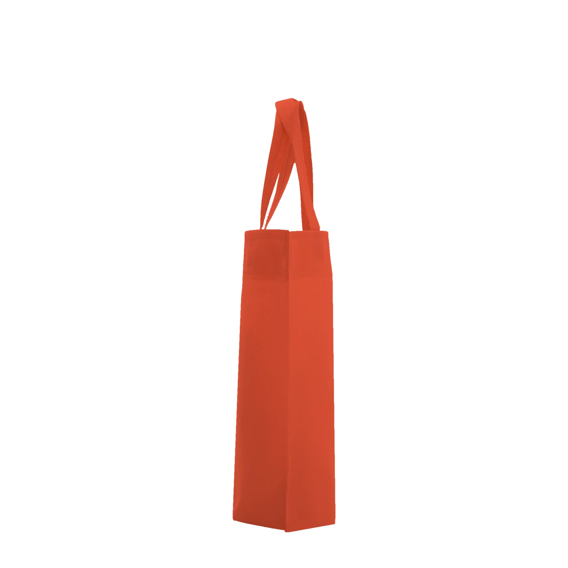 Bolsa M1 30x30x10