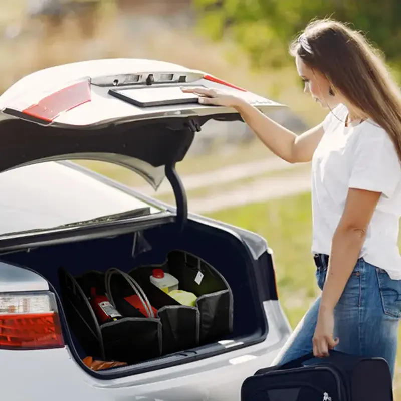 Car organizer
