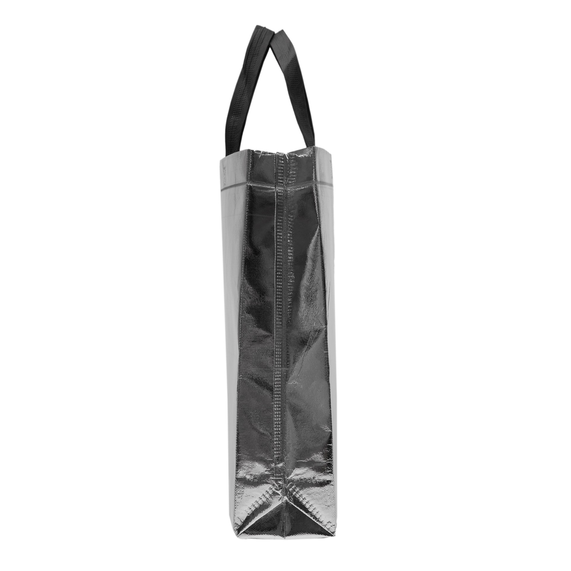 Bolsa Shiny