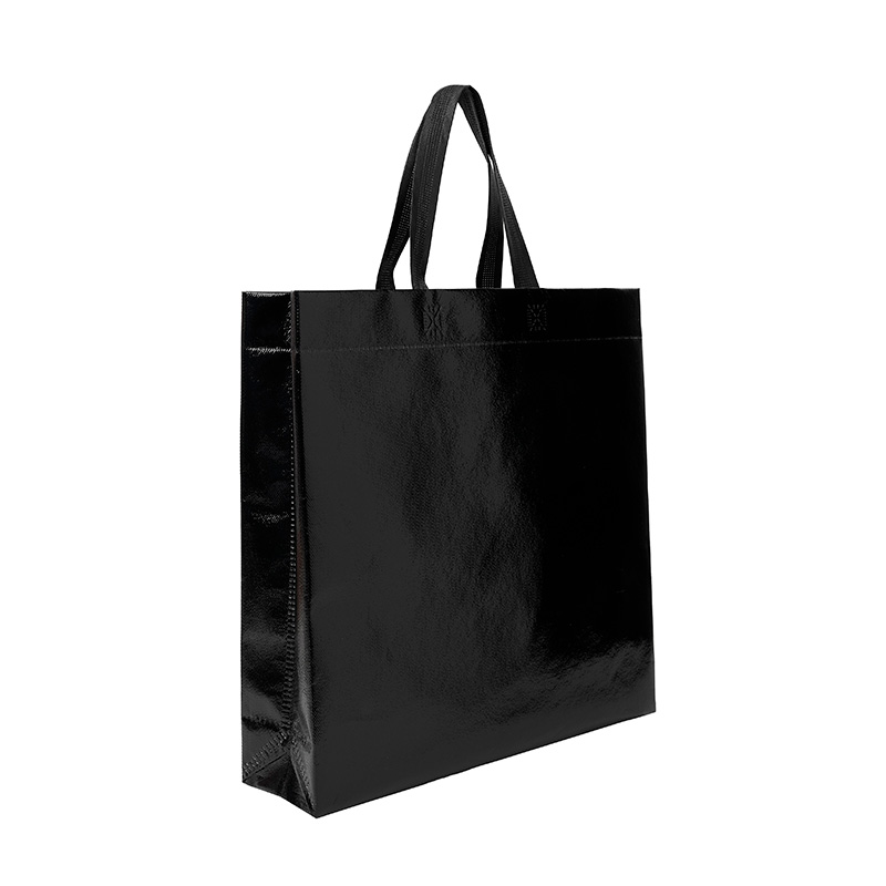 Bolsa Shiny