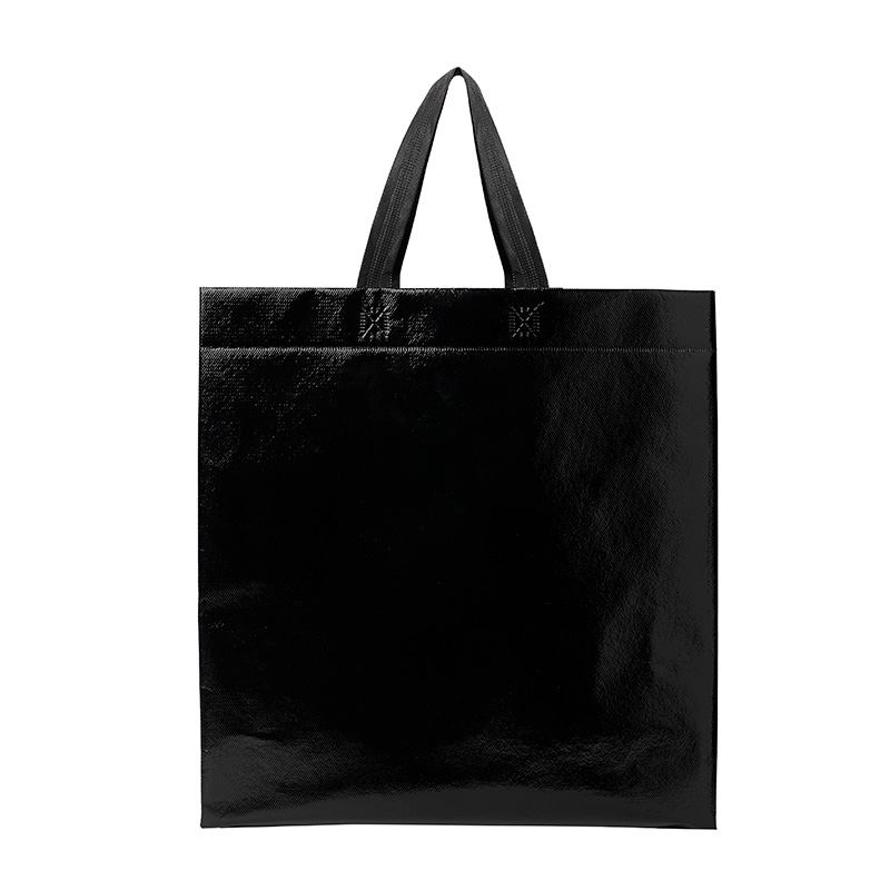 Bolsa Shiny